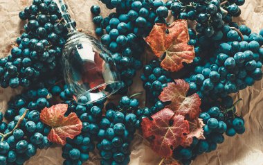 Yapraklı bir demet siyah üzüm ve bütün uçağı dolduran bir bardak şarap..