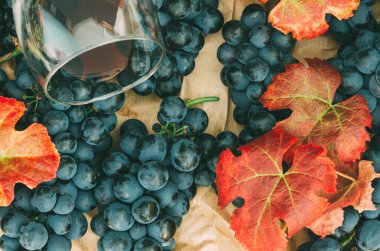 Yapraklı siyah üzümler ve bir bardak şarap.