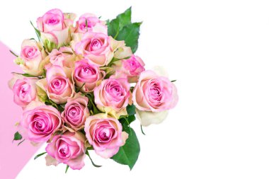 Beyaz arka planda pembe güller ve sağ tarafta kopyalamak için yer var. Özel gün kavramı.