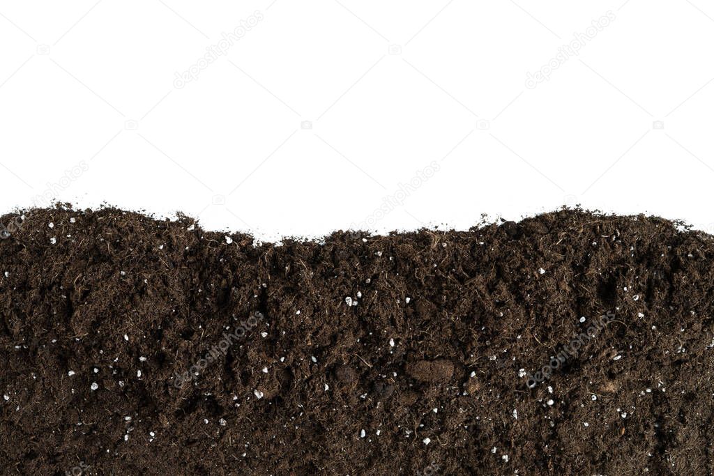 Natural soil cutting with white background on top. Natural peat texture.