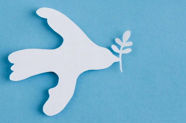 White paper dove with olive branch on blue background. Copy space. Top view.