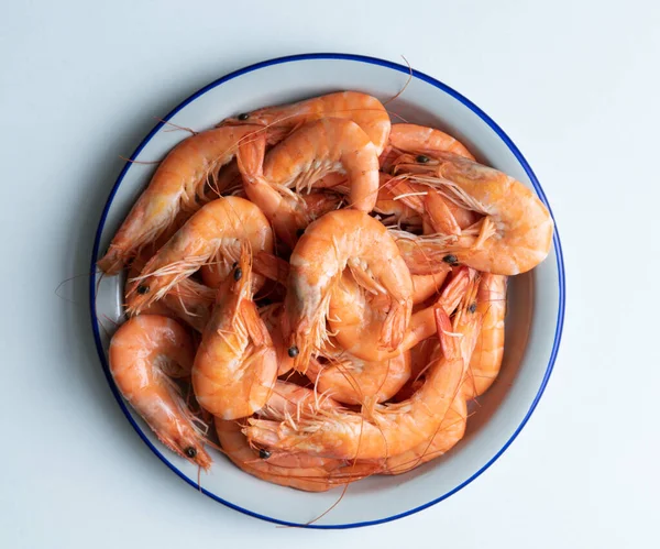 Beyaz arka planda pişmiş karides dolu beyaz tabak. Uzayı kopyala Üst görünüm.