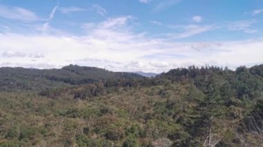 Santa Elena, Kolombiya 'nın doğal manzarası, Medellin metropolisinden hava manzarası. 4k video.