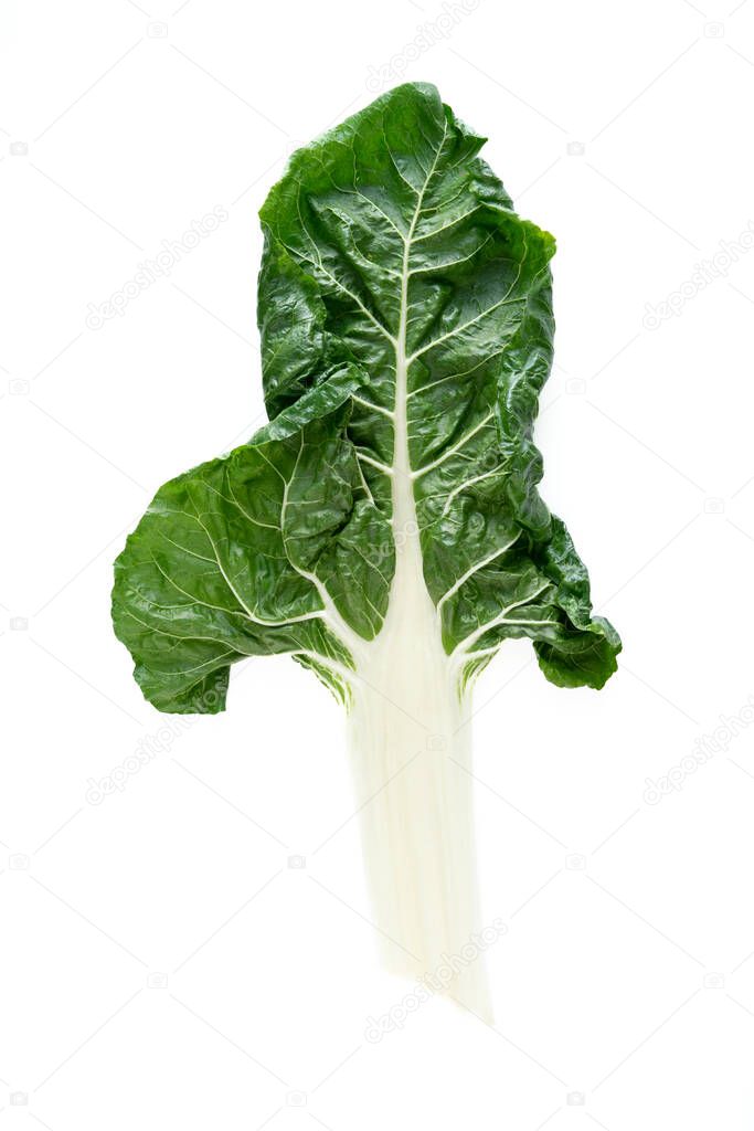 Chard leaf on white background. Vertical photo.