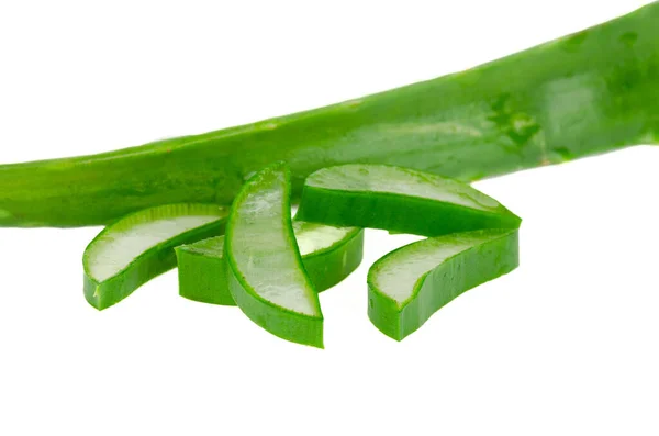 Aloe Vera Leaf Cut Pieces White Background Natural Medicine Concept — Stock Photo, Image