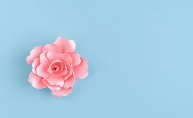 Pink paper flower on blue background. Copy of the space. Top view.