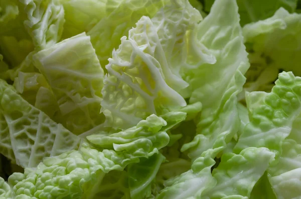 Macro cabbage, chopped and ready to cook. Brassica oleracea. Vegetable cooking ingredients.