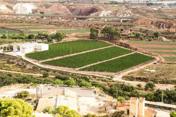 Όμορφη Πανοραμική Θέα Των Αμπελιών Από Κάστρο Της Mola Άποψη — Φωτογραφία Αρχείου