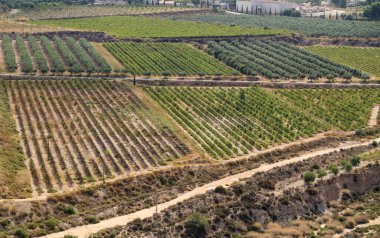 İspanya, Alicante 'deki La Mola Kalesi' nden sarmaşıkların güzel panoramik manzarası