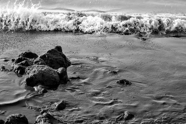 Oceanic Posidonia Remains Waves Rocks Texture Shore Santa Pola Spain — Foto Stock