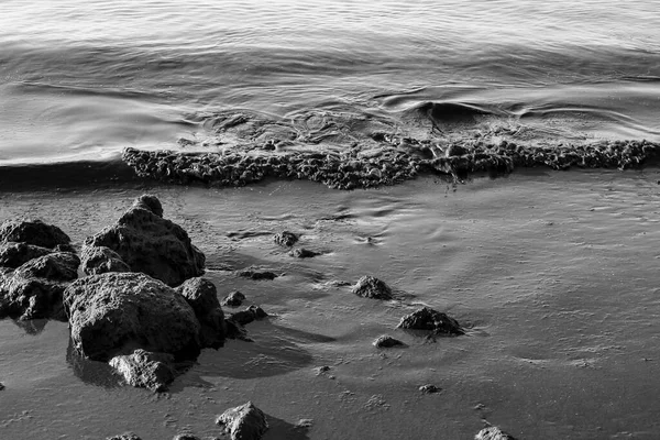 Oceanic Posidonia Pozůstatky Vlny Skály Textury Břehu Santa Pola Španělsko — Stock fotografie