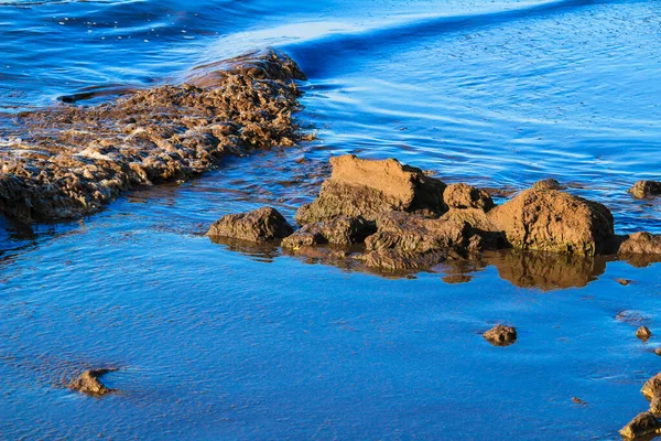 Oceanic Posidonia Remains Waves Rocks Texture Shore Santa Pola Ισπανία — Φωτογραφία Αρχείου