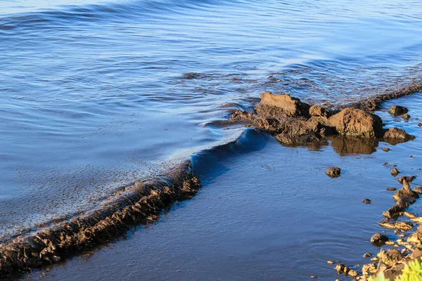 Oceanic Posidonia Remains Waves Rocks Texture Shore Santa Pola Spanyolország — Stock Fotó