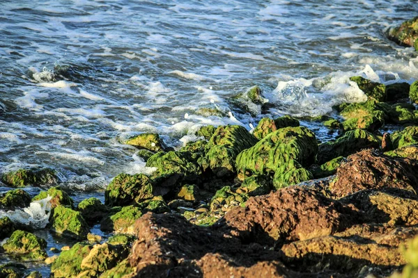 Bølger Bryder Farverige Klipper Med Grønne Alger Kysten Spanien - Stock-foto