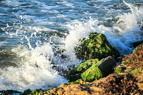Κύματα Που Συντρίβουν Πολύχρωμους Βράχους Πράσινα Φύκια Στην Ακτή Της — Φωτογραφία Αρχείου