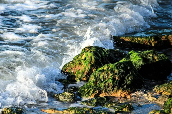 Vagues Écrasant Des Roches Colorées Avec Des Algues Vertes Sur — Photo