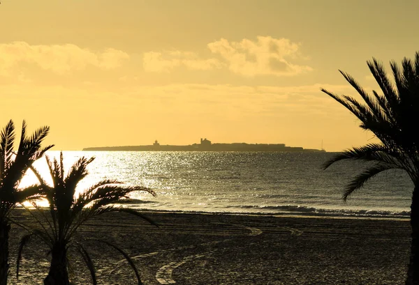Strand Met Palmbomen Eiland Tabarca Achtergrond Bij Zonsopgang Santa Pola — Stockfoto