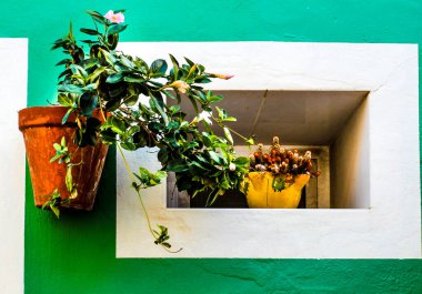 Polop, Alicante, İspanya 'da yeşil cepheli güzel tencereler.