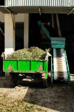 İspanya 'da bir tarım deposunda zeytin işleme makineleri