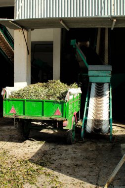 İspanya 'da bir tarım deposunda zeytin işleme makineleri