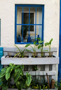 İspanya 'da dekoratif ekici olarak paletle beyaz saray cephesi