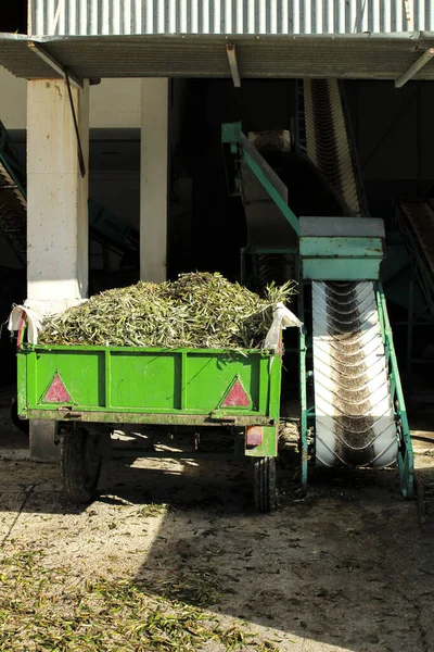 Machinery for olive processing in an agricultural warehouse in Spain