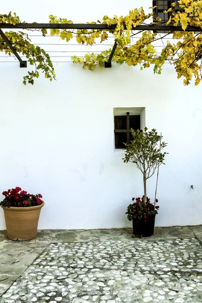 Typical Whitewashed Facade Vine Plants Guadalest Village Alicante Spain — Stock Photo, Image