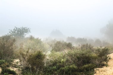 Mountain landscape covered by fog in the morning in Spain