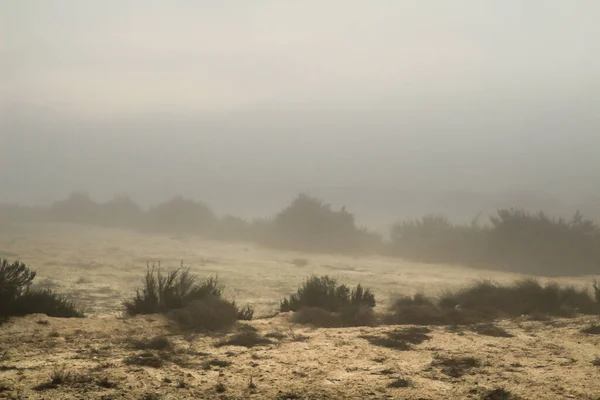 Mountain Landscape Covered Fog Morning Spain — Stockfoto