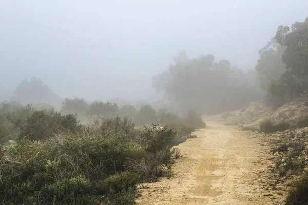 Mountain Landscape Covered Fog Morning Spain — Stockfoto