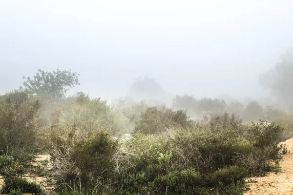 Ορεινό Τοπίο Που Καλύπτεται Από Ομίχλη Πρωί Στην Ισπανία — Φωτογραφία Αρχείου