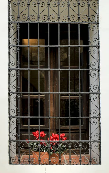 Окно Кованой Металлической Сеткой Красными Цветами Цикламена Белом Фасаде — стоковое фото