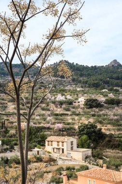 Bitkilerle, dağlarla ve badem ağaçlarıyla çevrili Benifato köyü manzarası