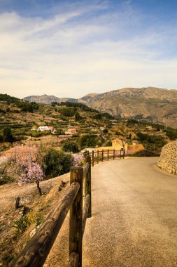 Mavi gökyüzünün altında açan badem ağaçlarıyla Sierra Aitana 'nın güzel manzarası