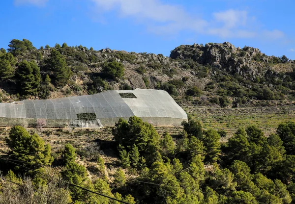 Callosa de Ensarria, Alicante, İspanya 'da Medlar plantasyonları olan dağ manzarası