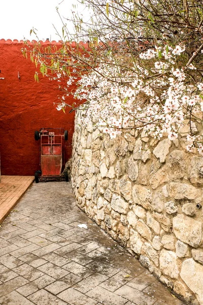 Calle Estrecha Con Hermoso Almendro Flor Pueblo Abdet Alicante España — Foto de Stock