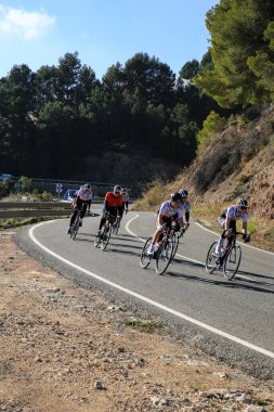 Alicante, İspanya - 4 Şubat 2022: Güneşli bir yaz gününde Alicante 'de dağ yolunda bisiklet süren bir grup kadın bisikletçi
