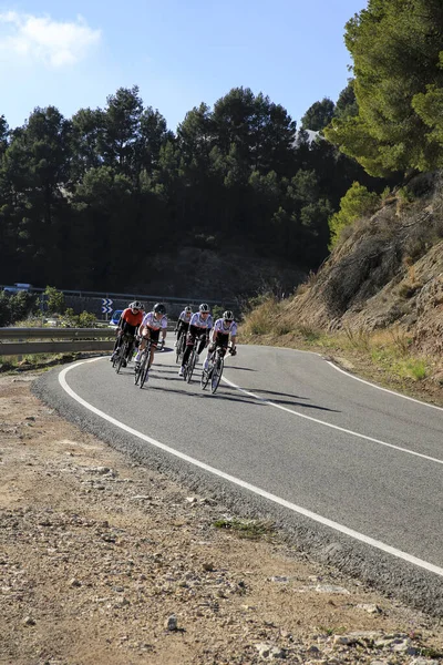 Alicante Hiszpania Lutego 2022 Grupa Kobiet Rowerzystów Jadących Górską Drogą — Zdjęcie stockowe