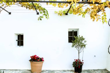 İspanya 'nın Alicante kentindeki Guadalest köyünde asma ve bitkilerle bembeyaz bir cephe.