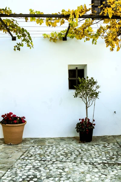 Typical whitewashed facade with vine and plants in Guadalest village, Alicante, Spain