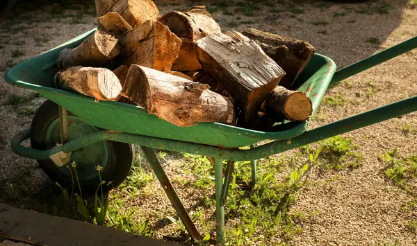 Starý Zelený Trakař Spousta Dřeva Stromů Klády Venkově — Stock fotografie