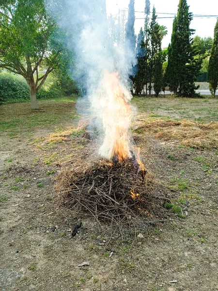 Little Pruning Bonfire Countryside Spain — Stock fotografie