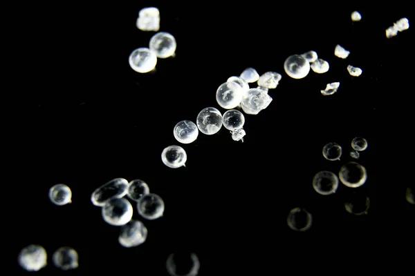 Silica Gel Perlen Auf Schwarzem Hintergrund Makrofotografie — Stockfoto
