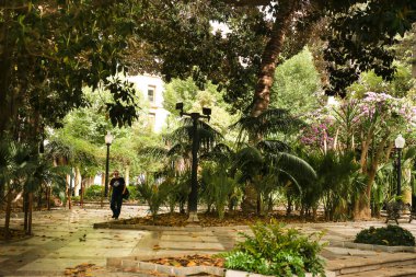 Alicante, İspanya - 26 Haziran 2022: Ünlü Gabriel Miro Meydanı bir sürü bitki ve dev Ficus Ağaçları