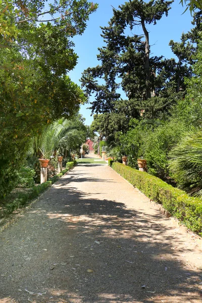 Cartagena Murcia Spain July 2022 Beautiful Gardens Beltri House Cartagena — Stock fotografie