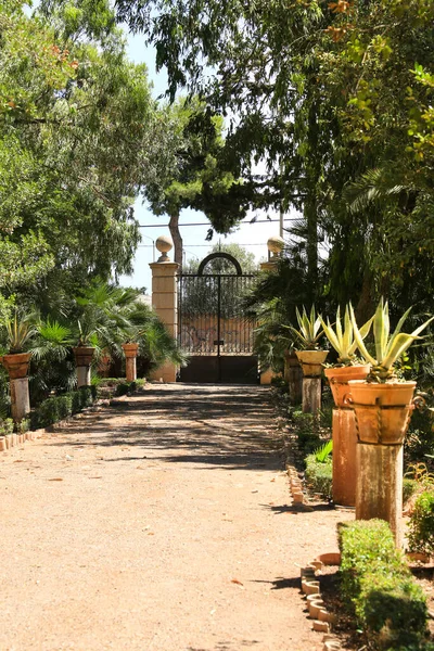 Cartagena Murcia Spain July 2022 Beautiful Gardens Beltri House Cartagena — Stockfoto