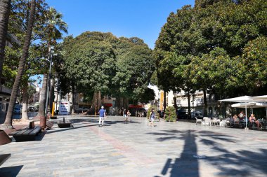 Cartagena, Murcia, Spain- July 17, 2022: Beautiful San Francisco Square in Cartagena on a sunny day of summer