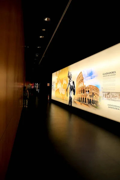 Alicante Ισπανία Ιουλίου 2022 Χρονική Έκθεση Μονομάχων Στο Αρχαιολογικό Μουσείο — Φωτογραφία Αρχείου