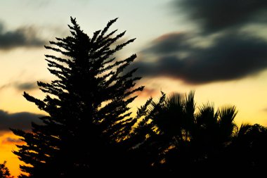 Clouds and lovely sky at Sunset in Alicante in summer