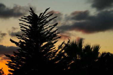 Clouds and lovely sky at Sunset in Alicante in summer